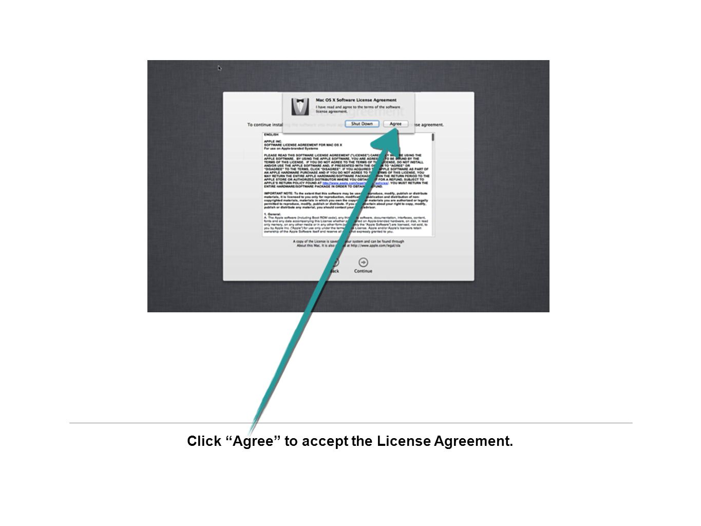 Click Agree to accept the License Agreement.