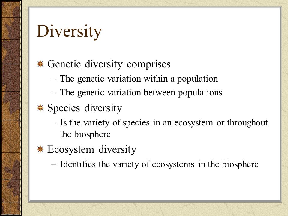 save species and ecosystem essay Learn about endangered species in your area 10 easy things you can do to save endangered species 1 learn about endangered species in your area. save species and ecosystem essay Learn about endangered species in your area 10 easy things you can do to save endangered species 1 learn about endangered species in your area.
