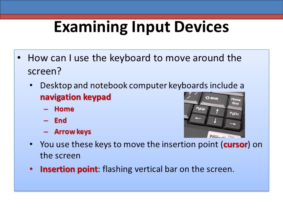 Examining Input Devices How can I use the keyboard to move around the screen.