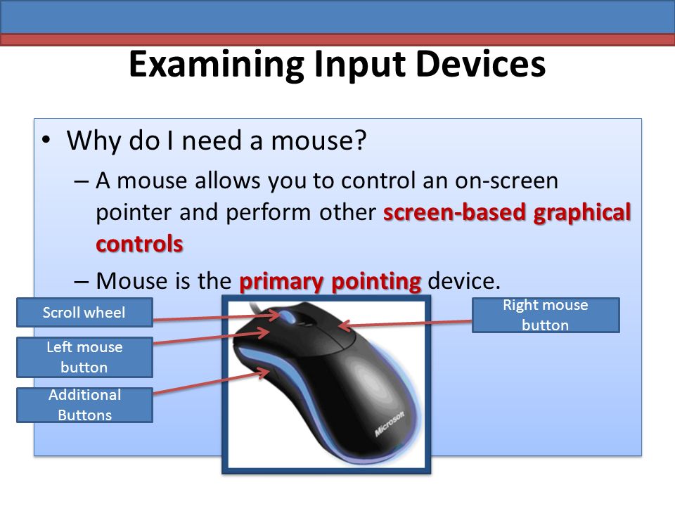 Examining Input Devices Why do I need a mouse.