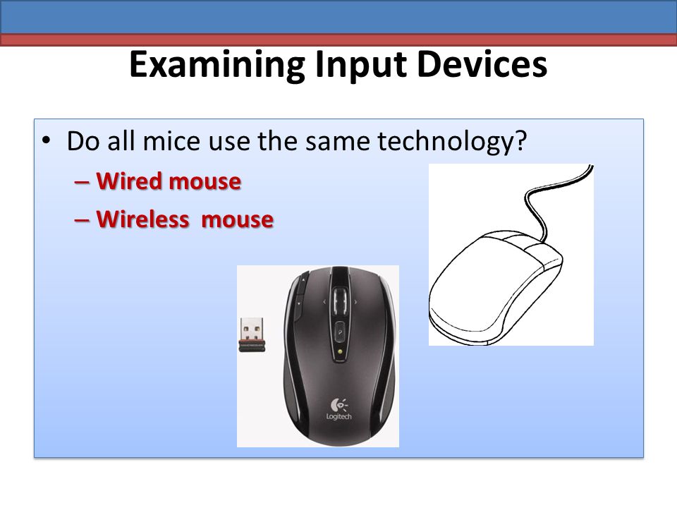 Examining Input Devices Do all mice use the same technology – Wired mouse – Wireless mouse