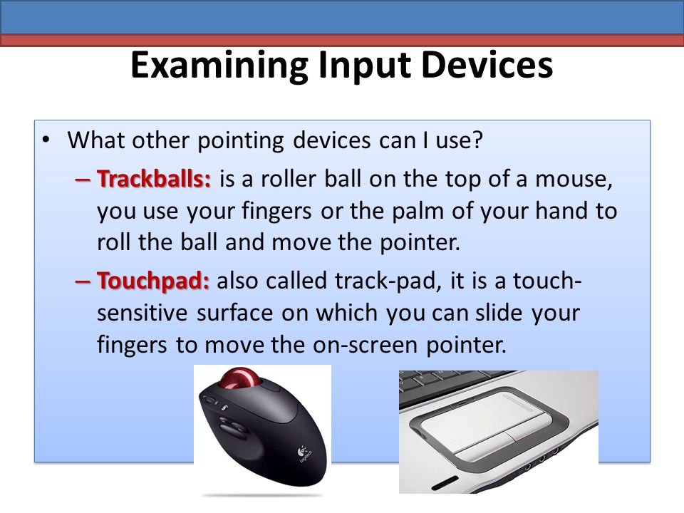 Examining Input Devices What other pointing devices can I use.