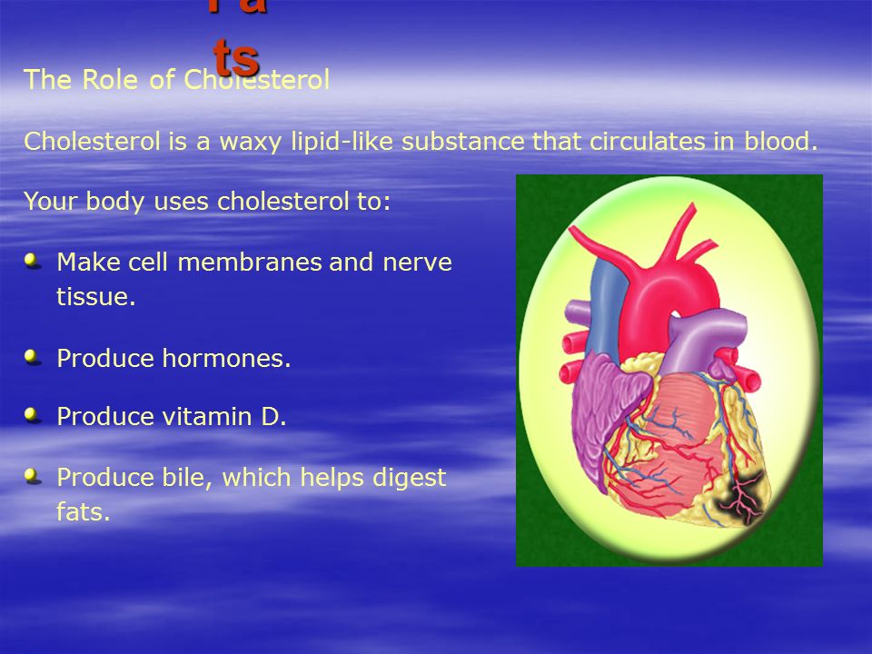 The Role of Fats Fa ts They transport vitamins A, D, and K in the blood.