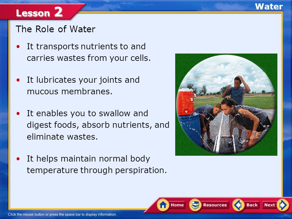 Lesson 2 The Role of Water It transports nutrients to and carries wastes from your cells.