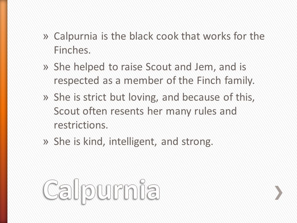» Calpurnia is the black cook that works for the Finches.