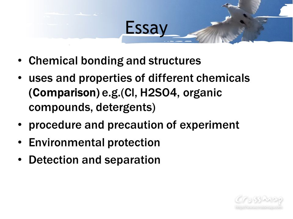 breath eyes memory essay example breath eyes memory essay example