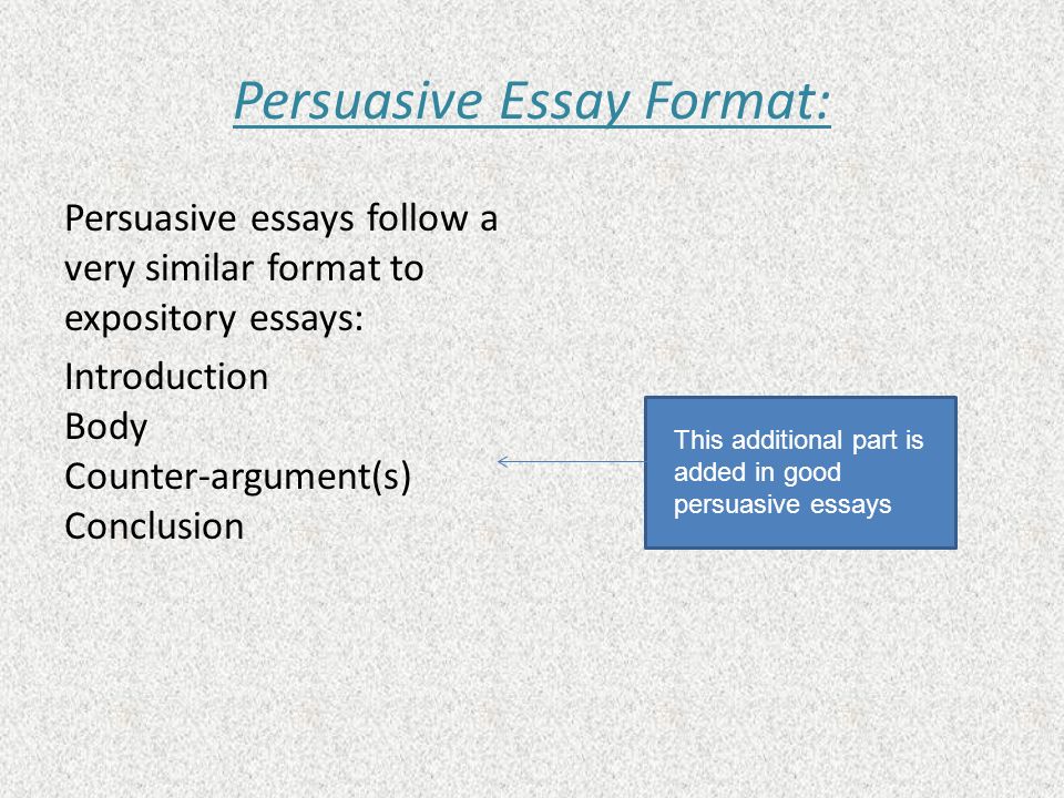 Essay conclusions powerpoint