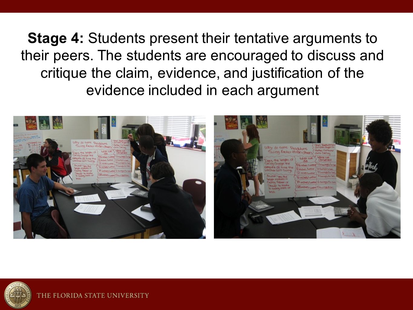 Stage 4: Students present their tentative arguments to their peers.