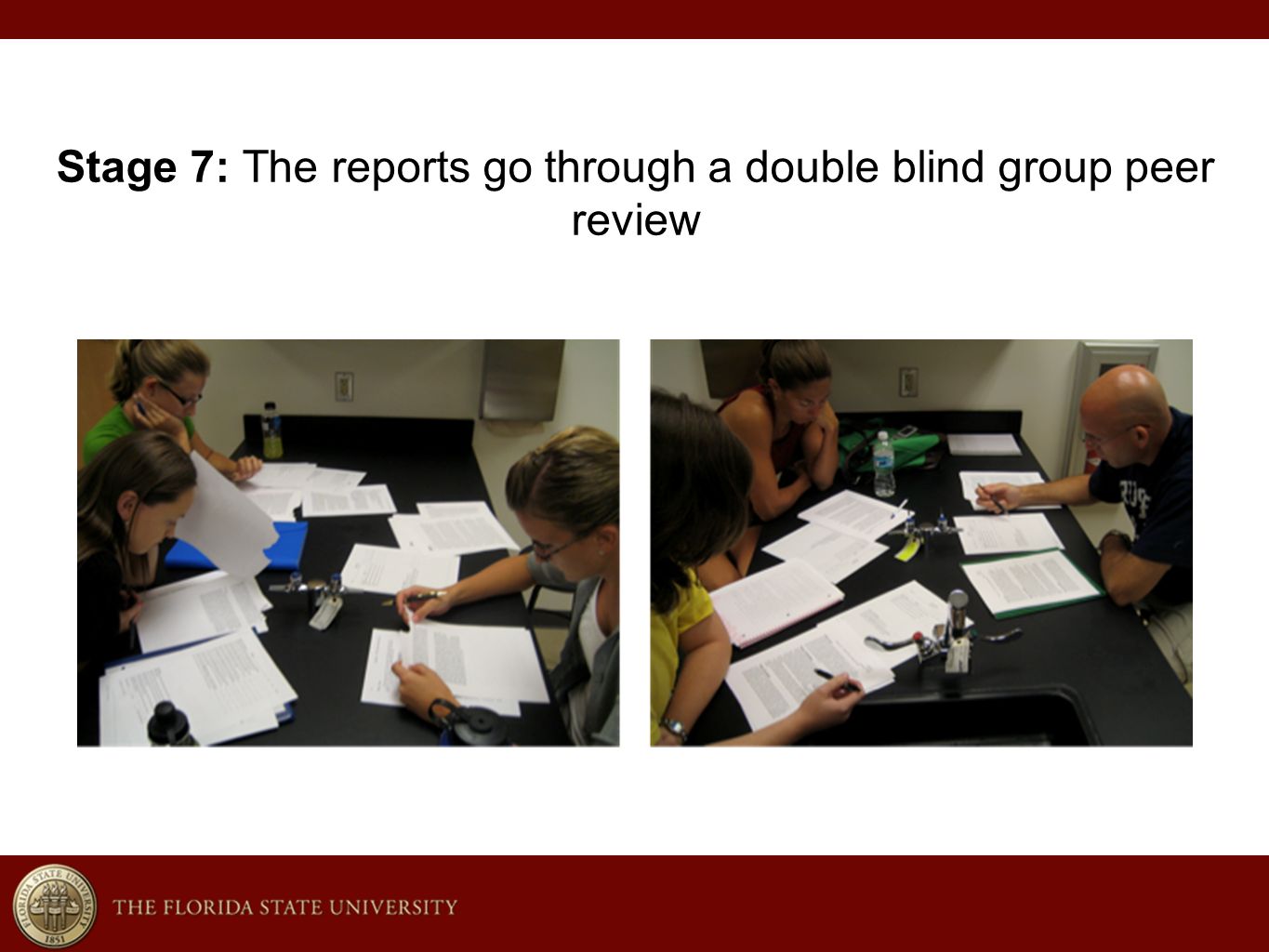 Stage 7: The reports go through a double blind group peer review