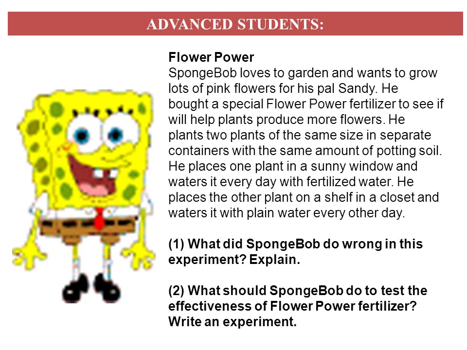 Worksheet Spongebob Science Worksheet spongebob scientific method controls and variables worksheet science 9 4 13 the answers identify
