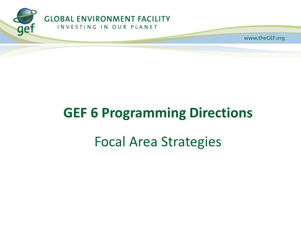 GEF 6 Programming Directions Focal Area Strategies