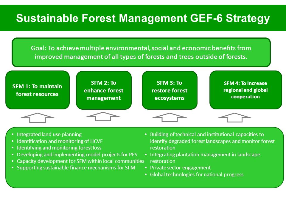 Sustainable Forest Management GEF-6 Strategy Goal: To achieve multiple environmental, social and economic benefits from improved management of all types of forests and trees outside of forests.