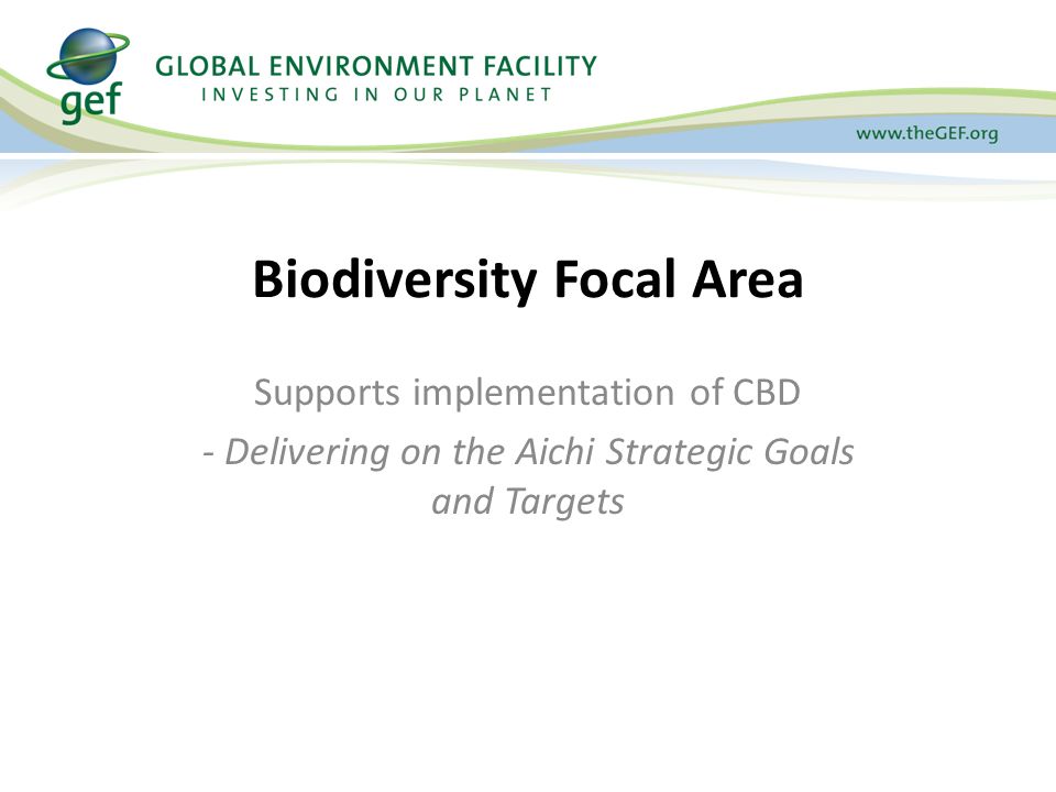 Supports implementation of CBD - Delivering on the Aichi Strategic Goals and Targets Biodiversity Focal Area
