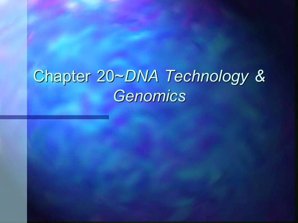 Chapter 20~DNA Technology & Genomics