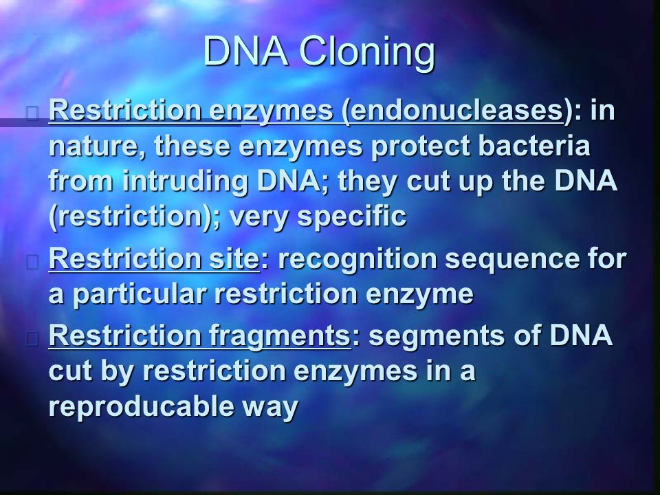 DNA Cloning n Restriction enzymes (endonucleases): in nature, these enzymes protect bacteria from intruding DNA; they cut up the DNA (restriction); very specific n Restriction site: recognition sequence for a particular restriction enzyme n Restriction fragments: segments of DNA cut by restriction enzymes in a reproducable way