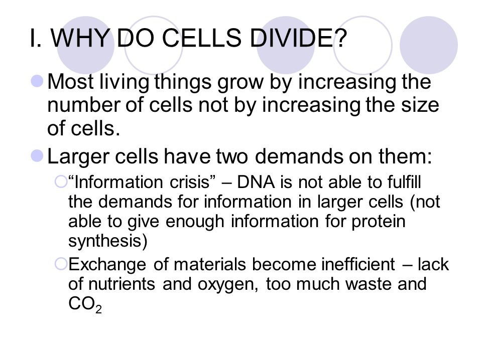 why do cells divide