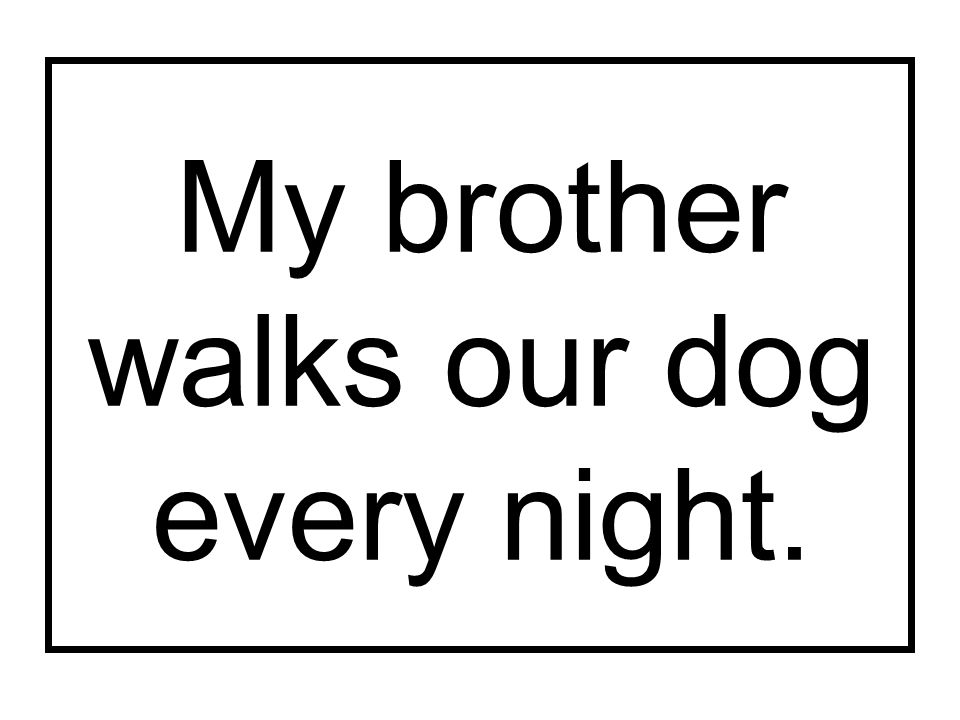 My brother walks our dog every night.