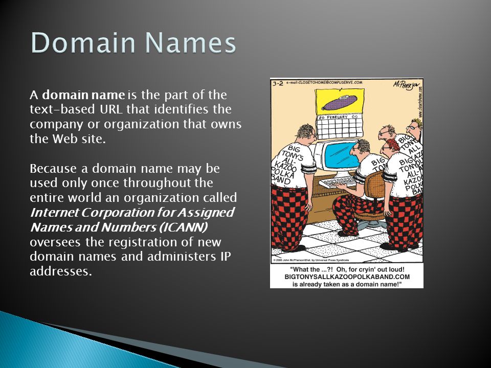 A domain name is the part of the text-based URL that identifies the company or organization that owns the Web site.