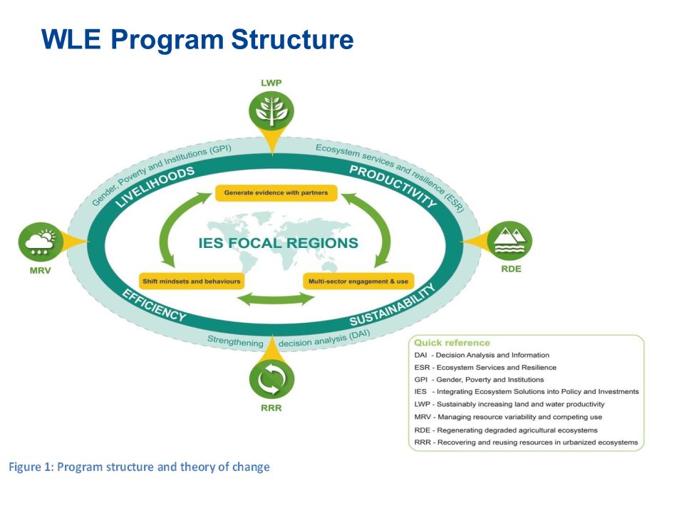 WLE Program Structure