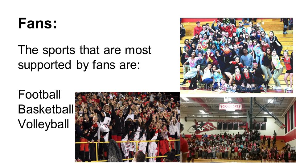 Fans: The sports that are most supported by fans are: Football Basketball Volleyball