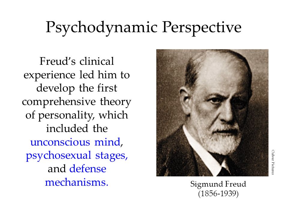 essays on freuds theory of personality essays on freuds theory of personality