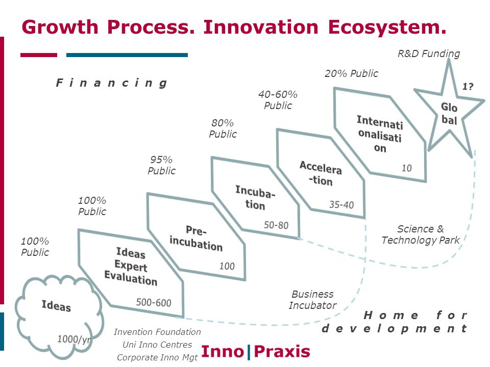 Growth Process. Innovation Ecosystem.