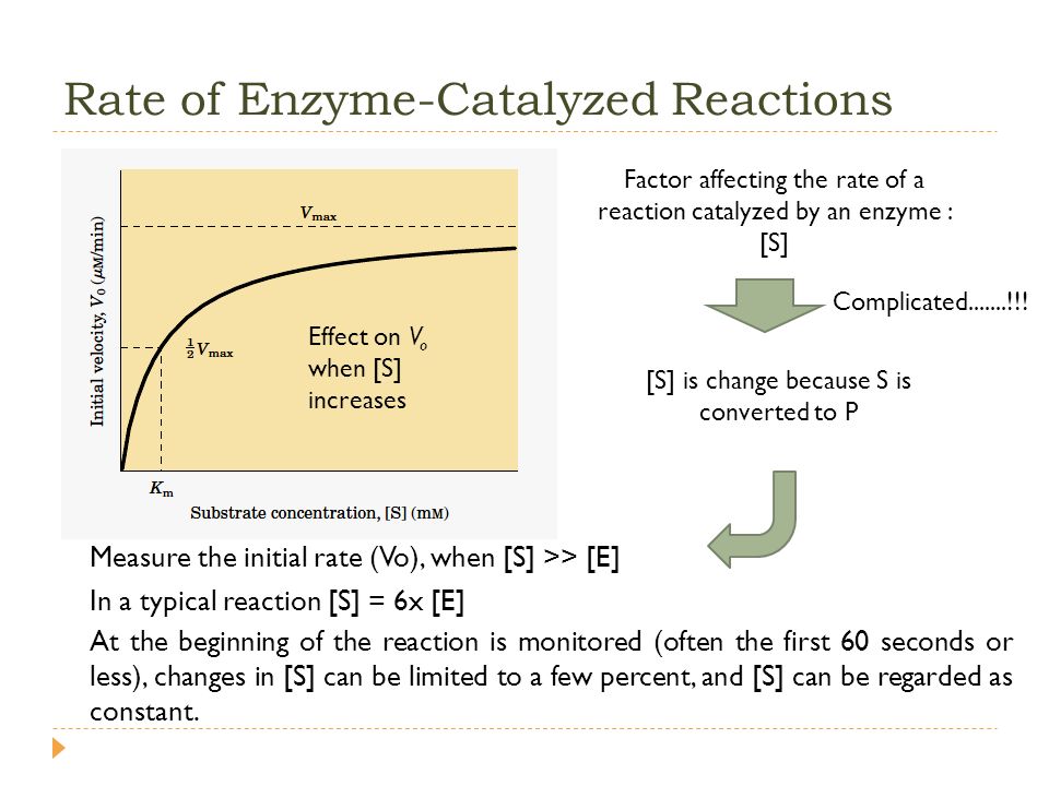an analysis of the factors that affect the rate of reaction of catalyse an enzyme an analysis of the factors that affect the rate of reaction of catalyse an enzyme
