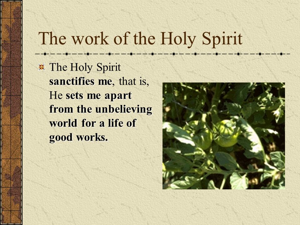 The work of the Holy Spirit sanctifies me sets me apart from the unbelieving world for a life of good works.