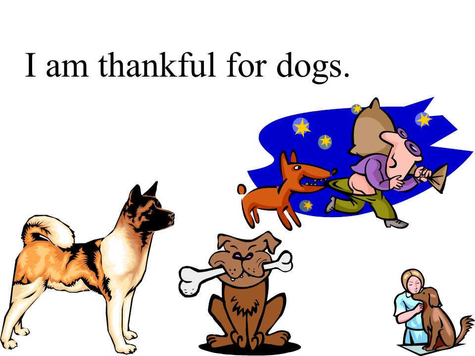 I am thankful for sports. I am thankful for animals. I am thankful for chess.