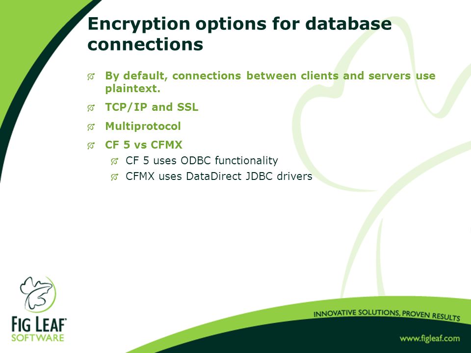 Encryption options for database connections  By default, connections between clients and servers use plaintext.