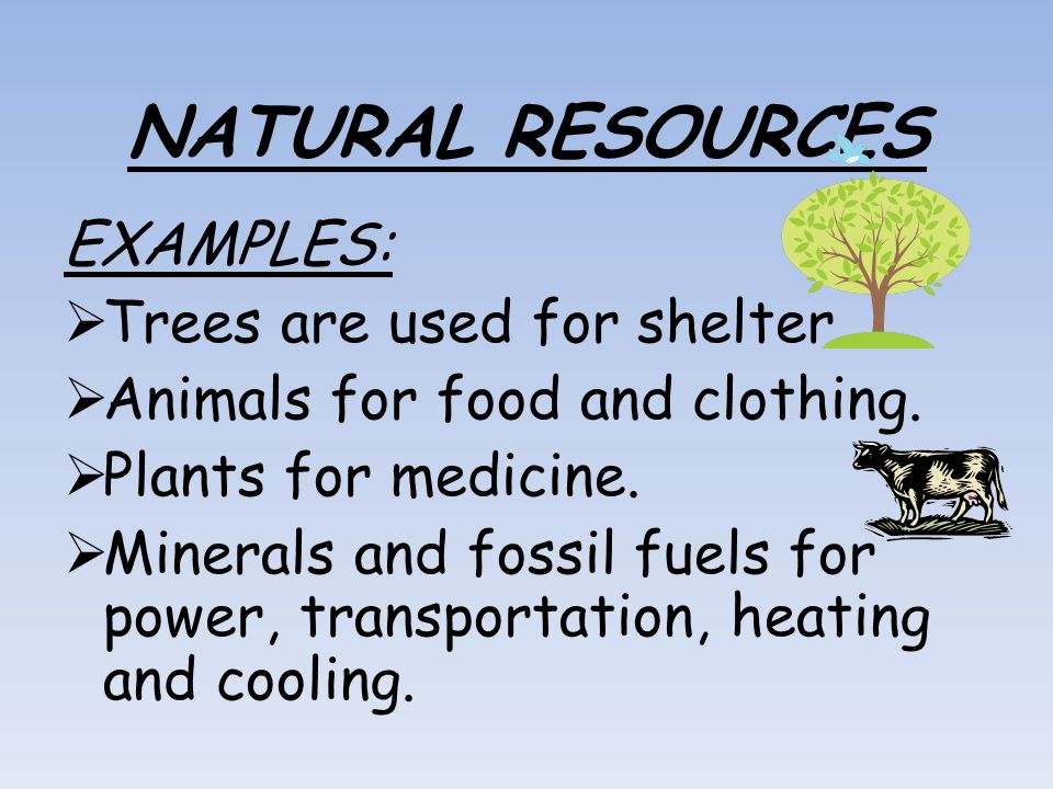 natural resources examples