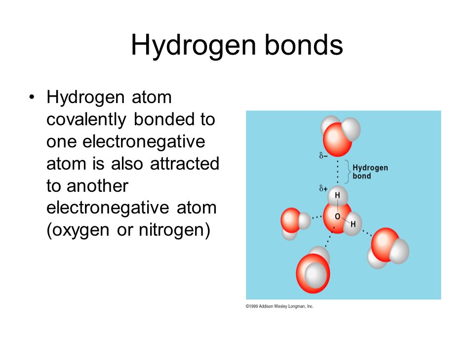 Hydrogen bonds Hydrogen atom covalently bonded to one electronegative atom is also attracted to another electronegative atom (oxygen or nitrogen)