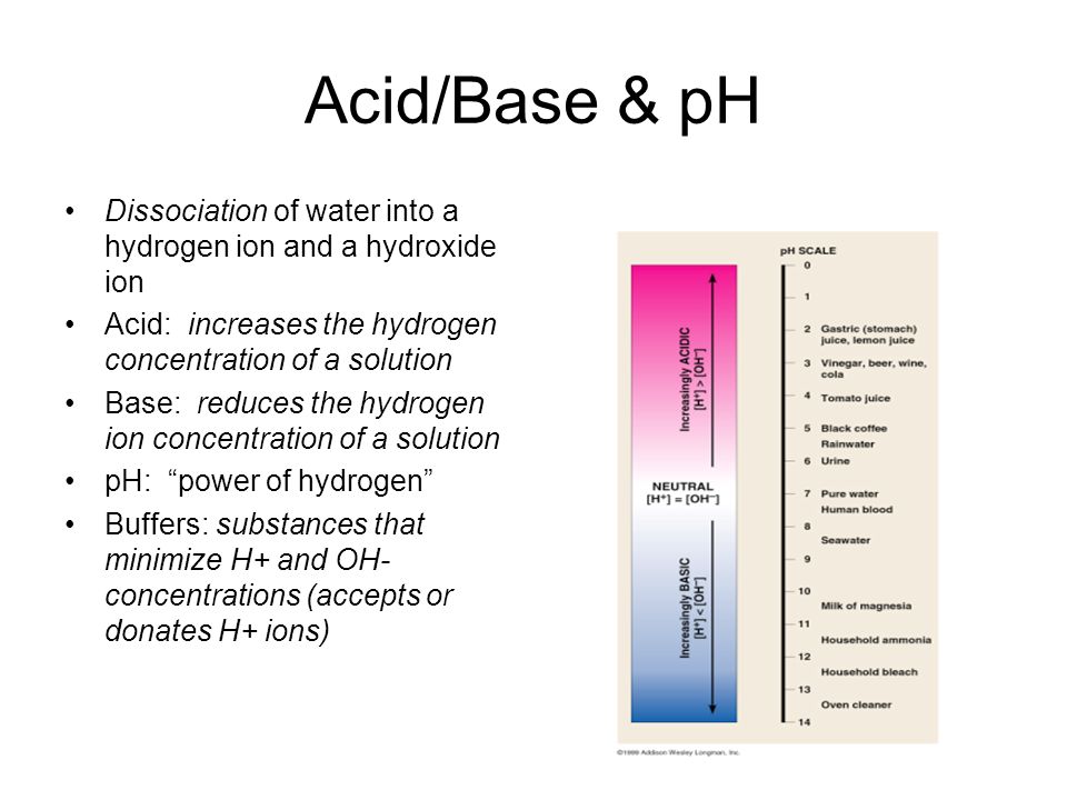 Acid/Base & pH Dissociation of water into a hydrogen ion and a hydroxide ion Acid: increases the hydrogen concentration of a solution Base: reduces the hydrogen ion concentration of a solution pH: power of hydrogen Buffers: substances that minimize H+ and OH- concentrations (accepts or donates H+ ions)