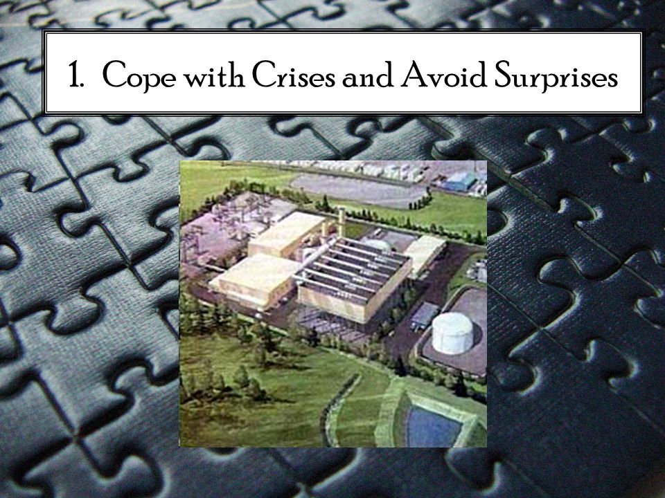 1. Cope with Crises and Avoid Surprises