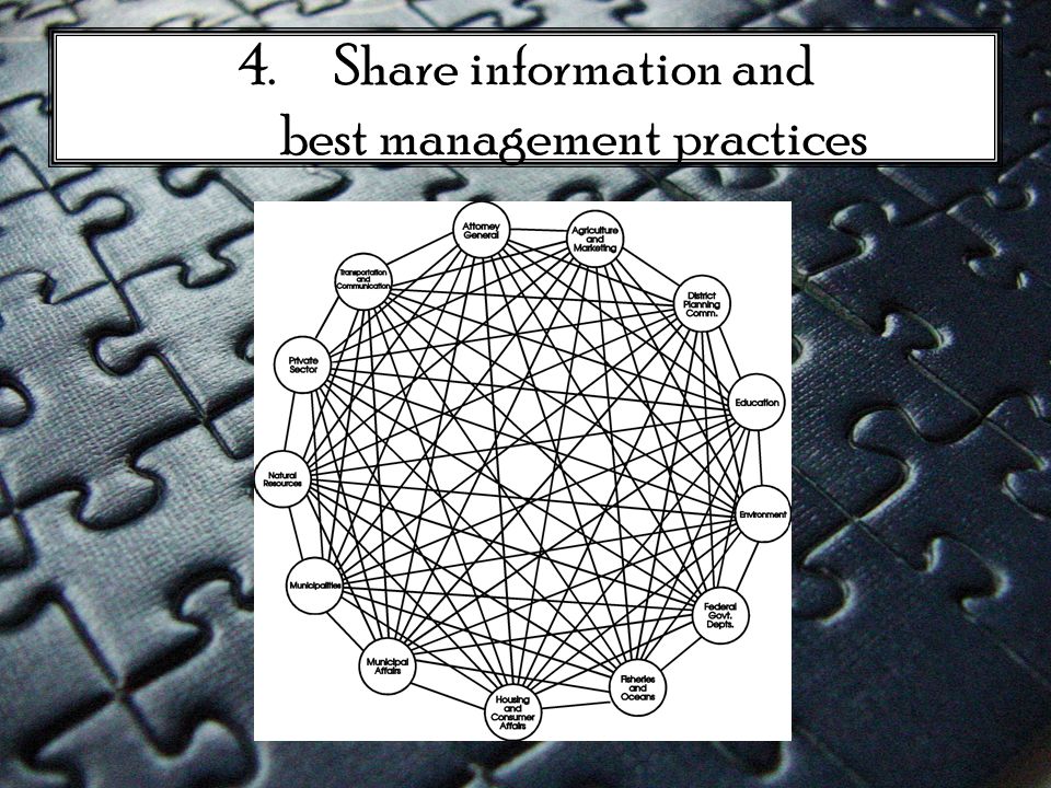 4.Share information and best management practices