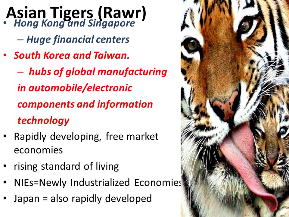 asian tigers