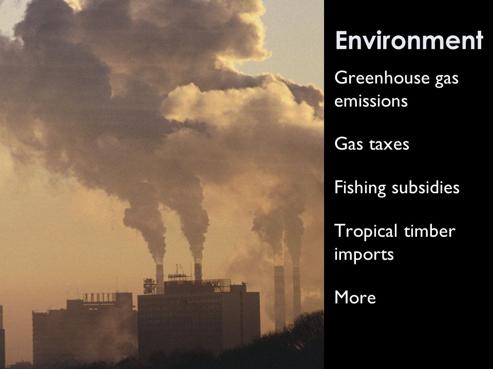 Environment Greenhouse gas emissions Gas taxes Fishing subsidies Tropical timber imports More