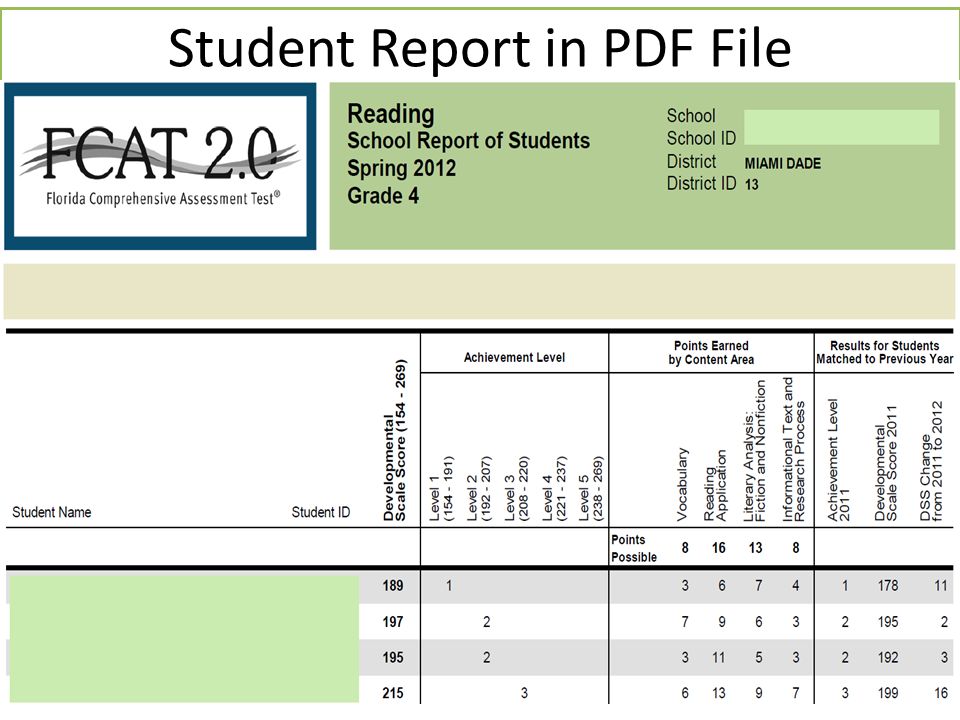 Student Report in PDF File 90