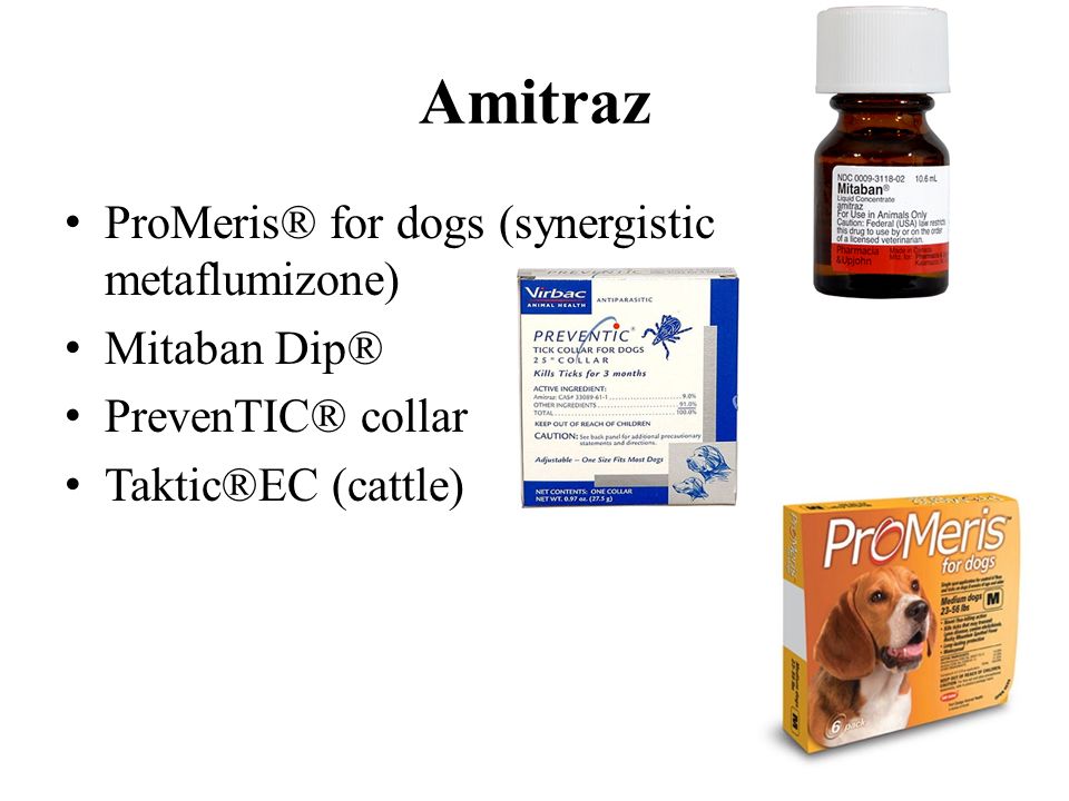 revatio buy revatio max dose