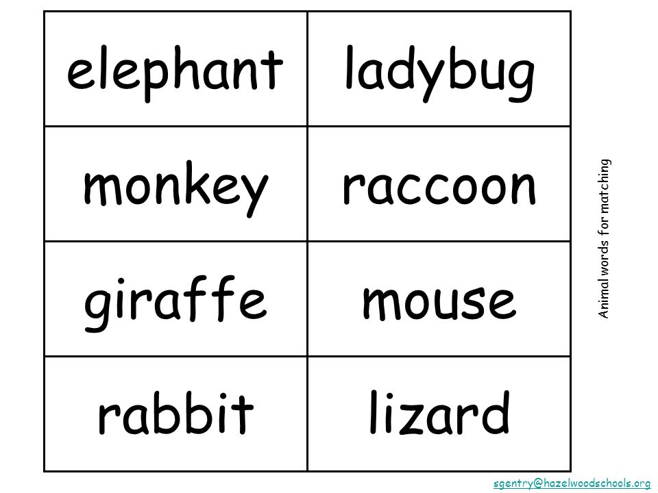 elephant monkey giraffe rabbit ladybug raccoon mouse lizard Animal words for matching
