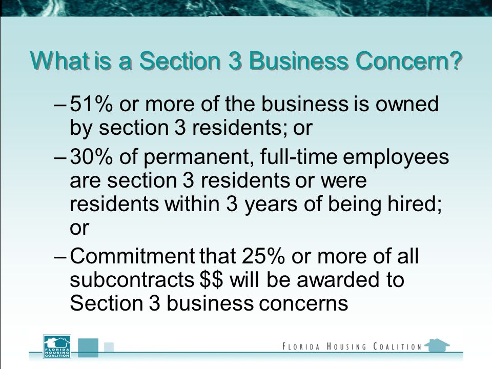 What is a Section 3 Business Concern.