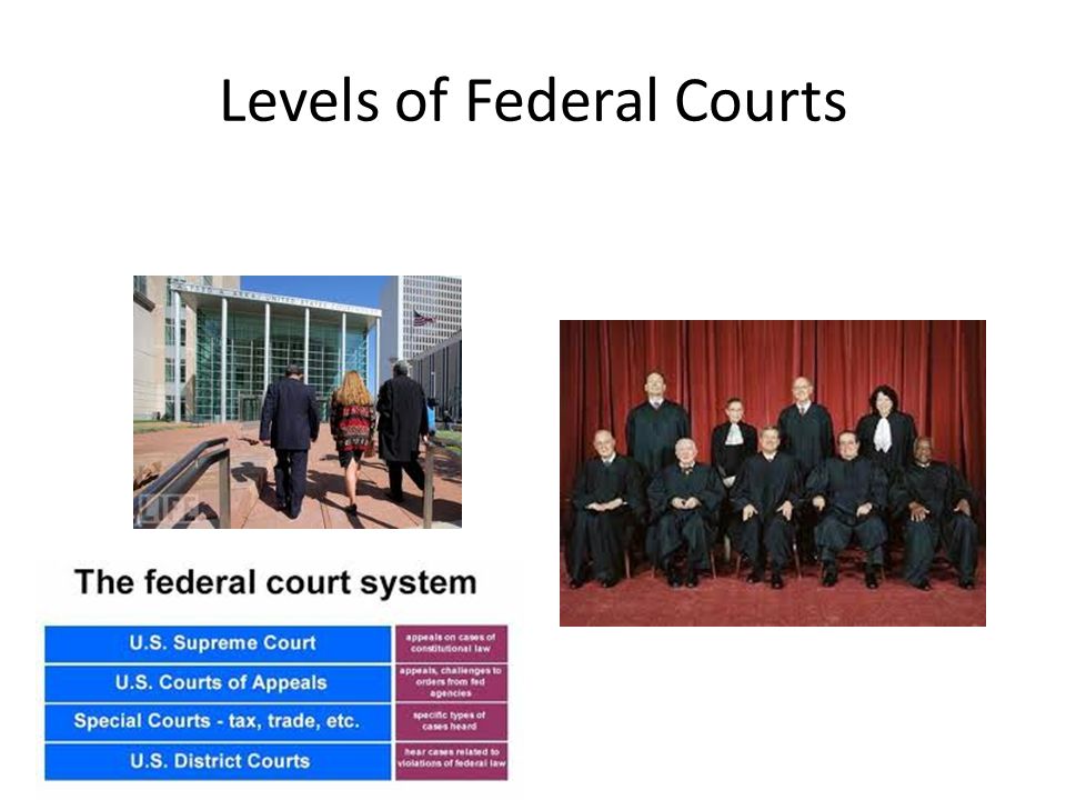 Levels of Federal Courts