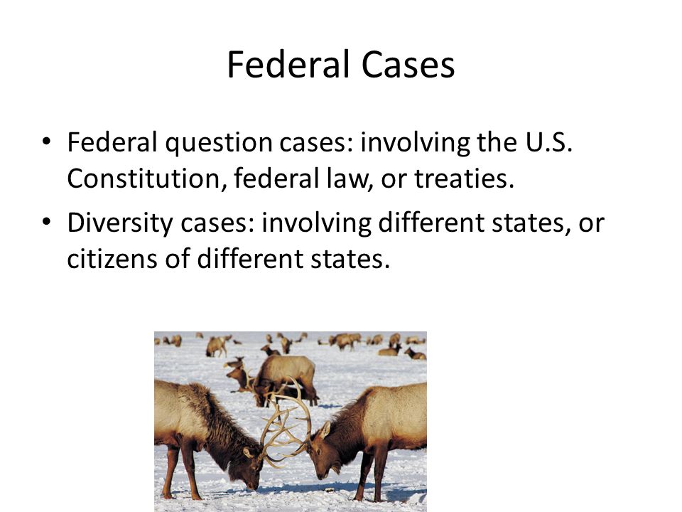 Federal Cases Federal question cases: involving the U.S.