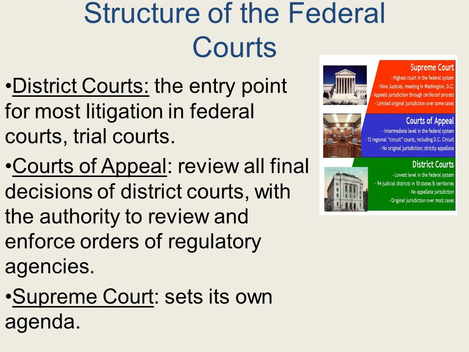 Structure of the Federal Courts District Courts: the entry point for most litigation in federal courts, trial courts.