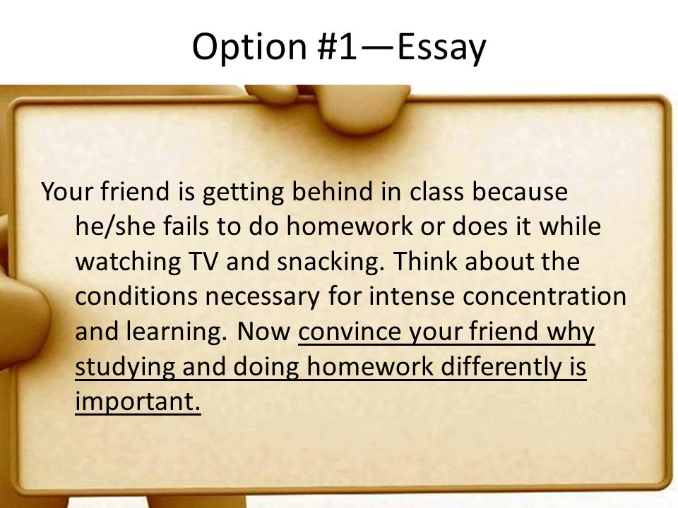 essay friendship essay friendship