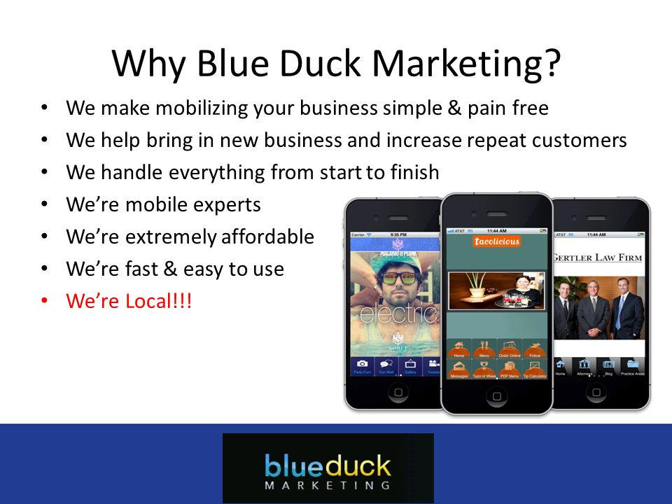 Why Blue Duck Marketing.