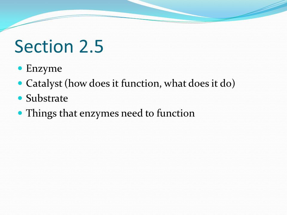 Section 2.5 Enzyme Catalyst (how does it function, what does it do) Substrate Things that enzymes need to function