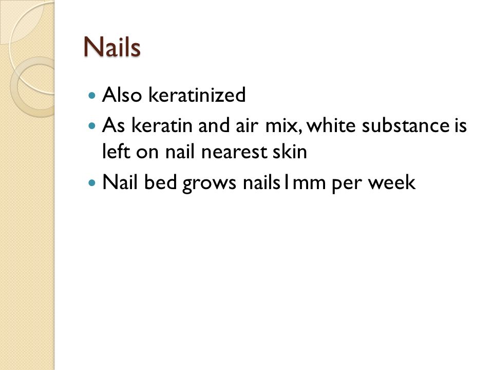 Nails Also keratinized As keratin and air mix, white substance is left on nail nearest skin Nail bed grows nails1mm per week