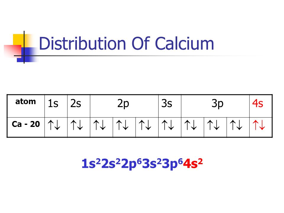 Distribution Of Calcium atom 1s2s 2p3s 3p4s Ca - 20  1s 2 2s 2 2p 6 3s 2 3p 6 4s 2