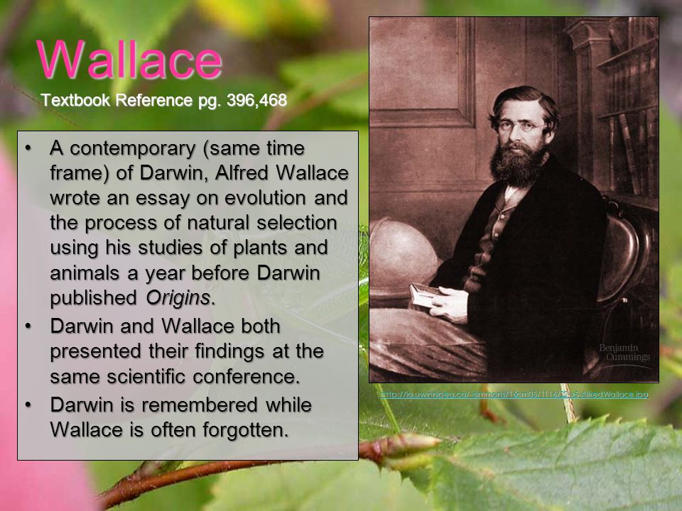 darwin essay darwin essay